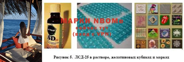 дурь Алексин