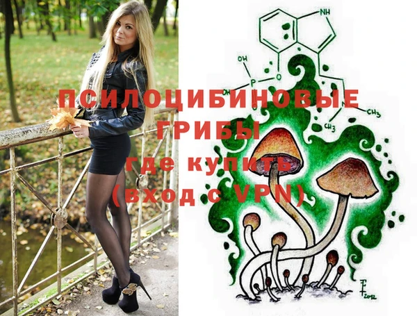 2c-b Алзамай