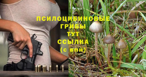 прущие грибы Алексеевка
