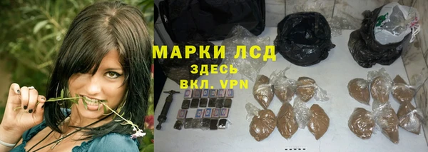 прущие грибы Алексеевка