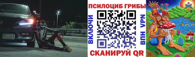 Псилоцибиновые грибы GOLDEN TEACHER  где купить наркоту  Кохма 