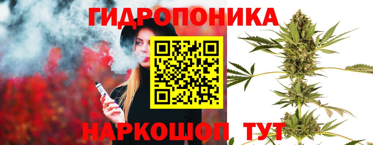 Кохма  Бошки Шишки VHQ  Бошки Шишки Ganja  Конопля Amnesia  Вход с VPN 